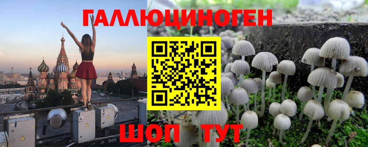 Галлюциногенные грибы Cubensis Владикавказ