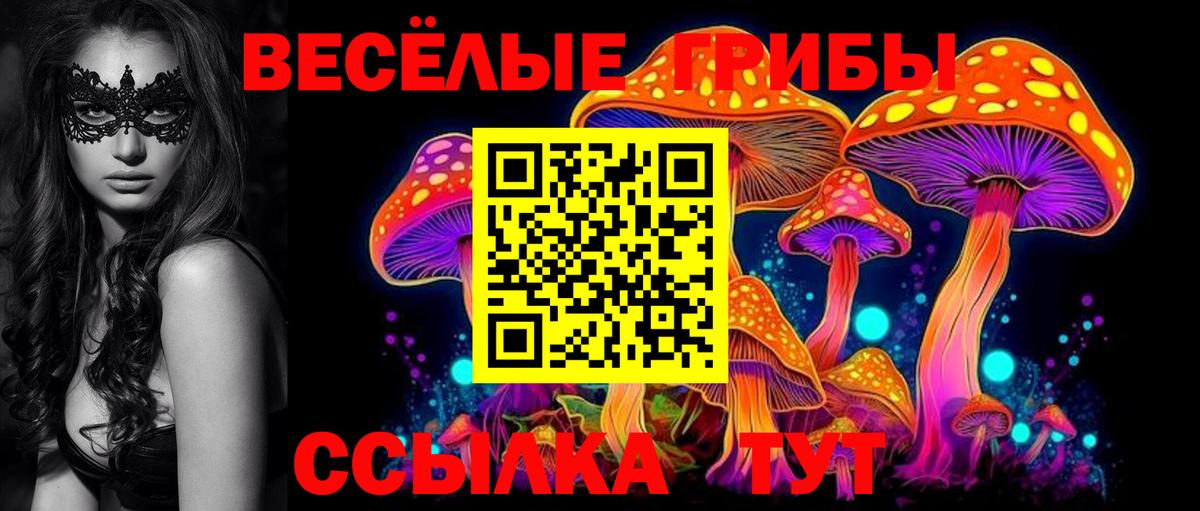 наркота  Вход с VPN  Владикавказ  Псилоцибиновые грибы Magic Shrooms  Псилоцибиновые грибы прущие грибы 